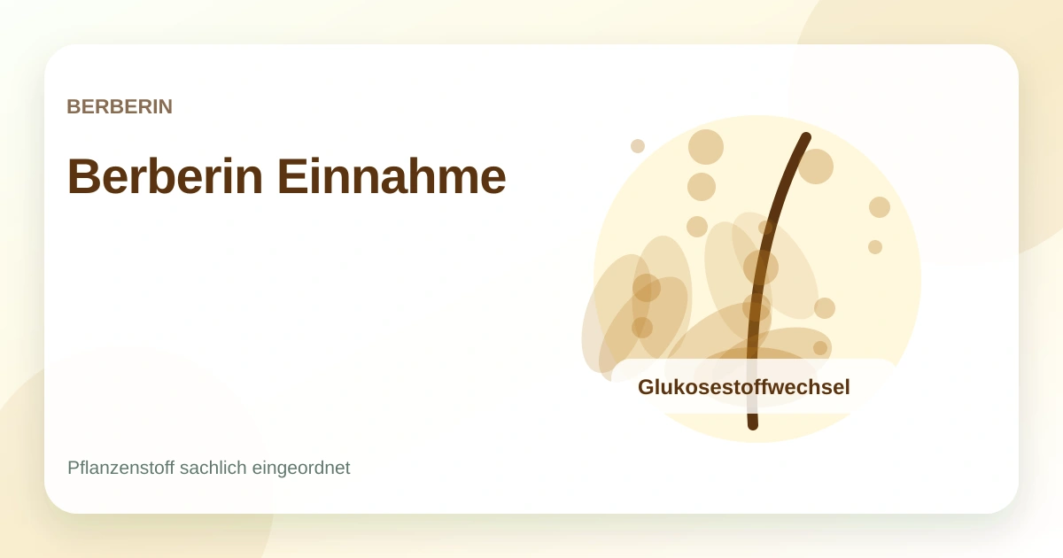 Berberin Einnahme: Tageszeit, Dauer und wichtige Hinweise