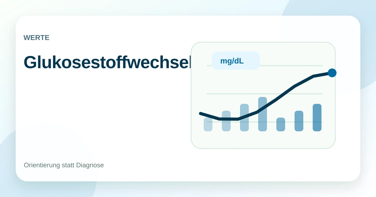 Glukosestoffwechsel: wie der Körper Zucker verarbeitet