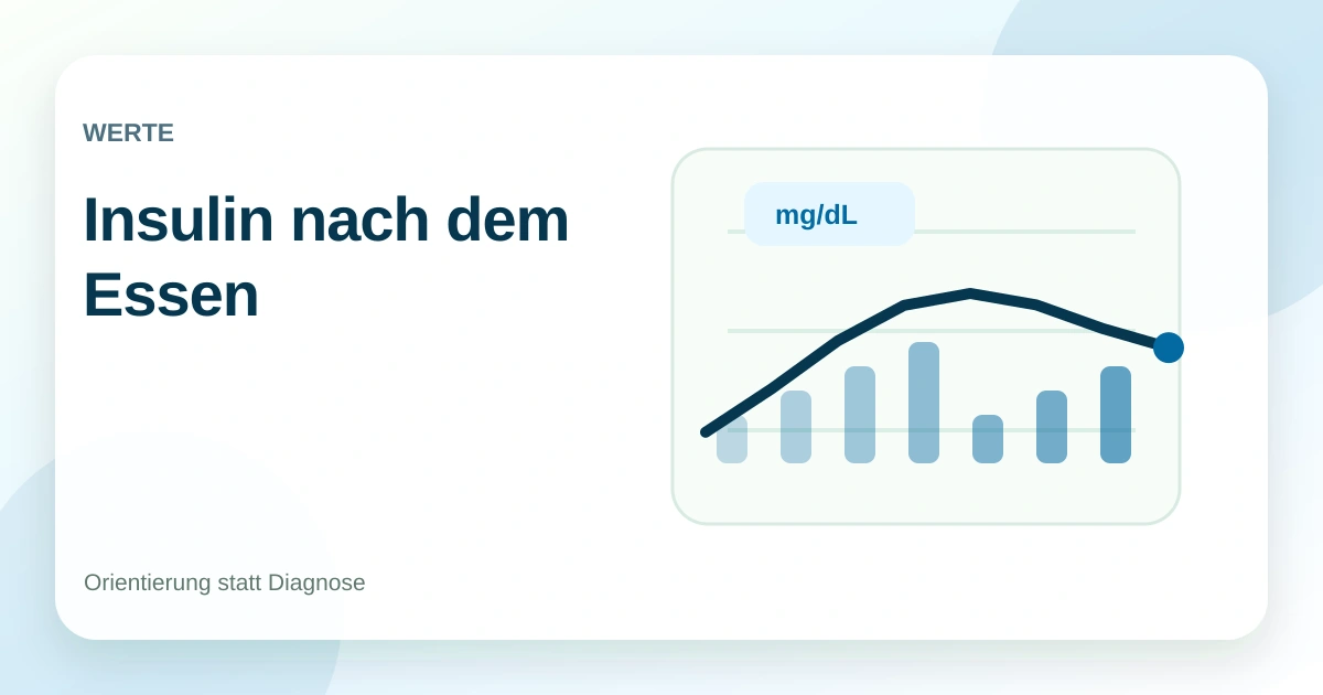 Insulin nach dem Essen: einfach erklärt ohne Fachchinesisch
